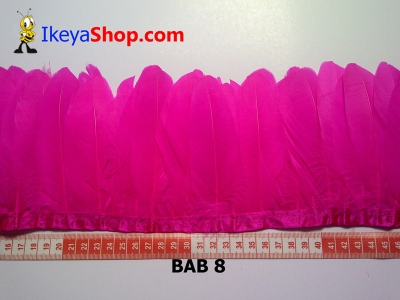 Bulu angsa BAB 8   feather  large2